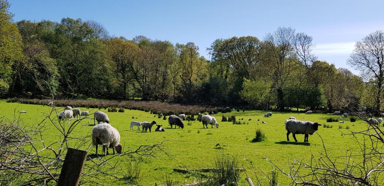 Mountain View Bed & Breakfast, Kenmare, Co. Kerry, Ireland Εξωτερικό φωτογραφία