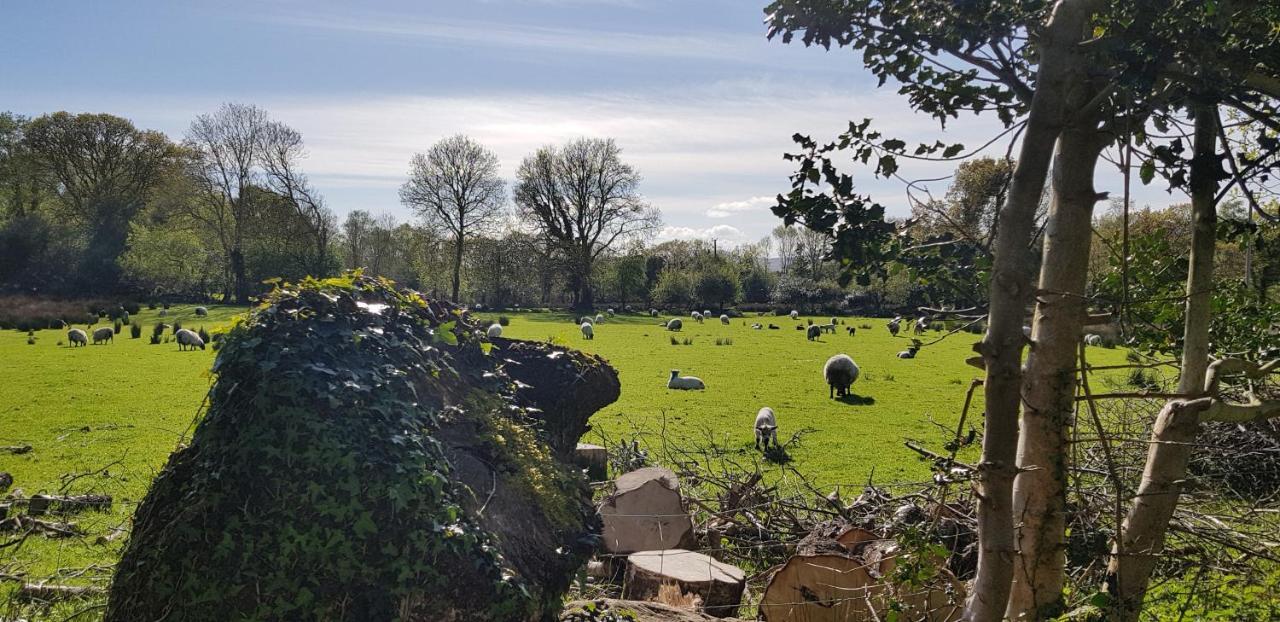 Mountain View Bed & Breakfast, Kenmare, Co. Kerry, Ireland Εξωτερικό φωτογραφία