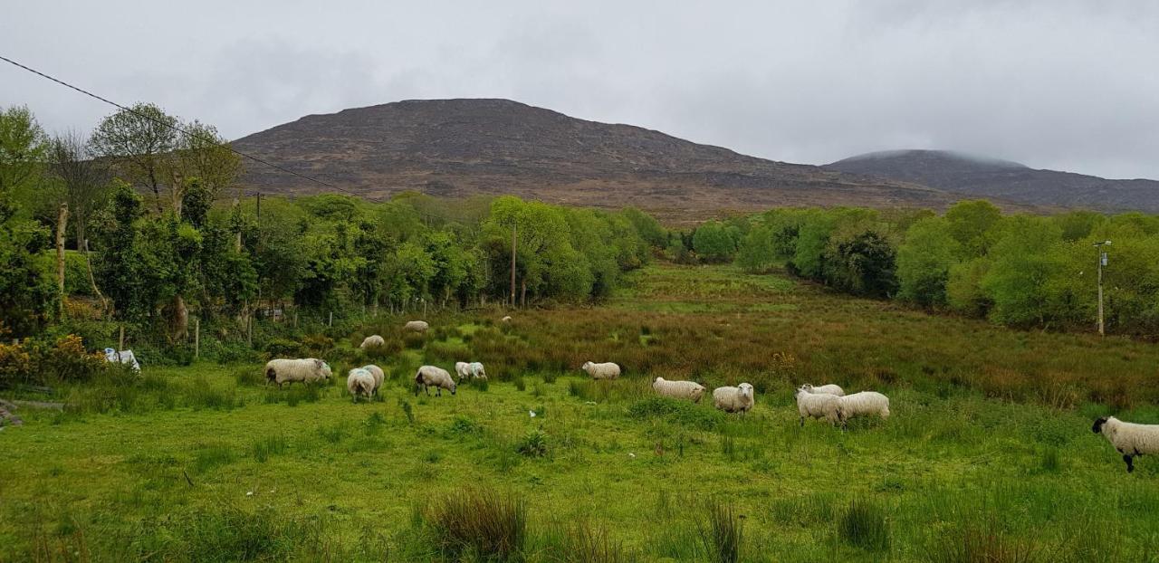 Mountain View Bed & Breakfast, Kenmare, Co. Kerry, Ireland Εξωτερικό φωτογραφία