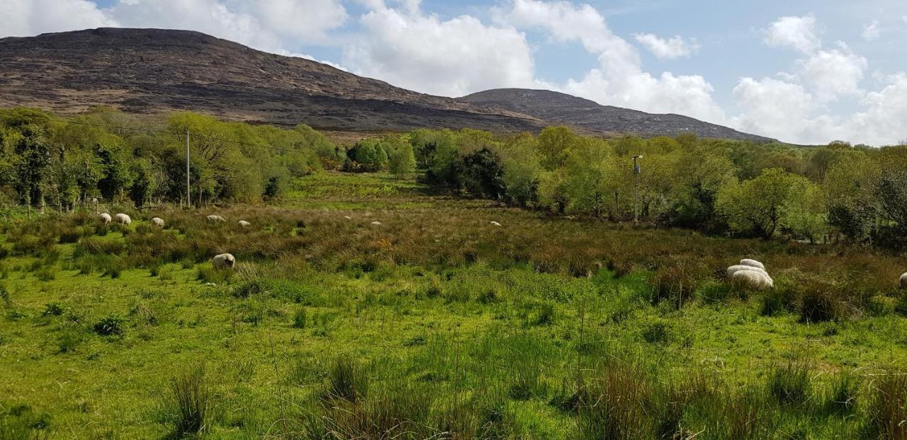 Mountain View Bed & Breakfast, Kenmare, Co. Kerry, Ireland Εξωτερικό φωτογραφία